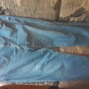 Lane Bryant jeans